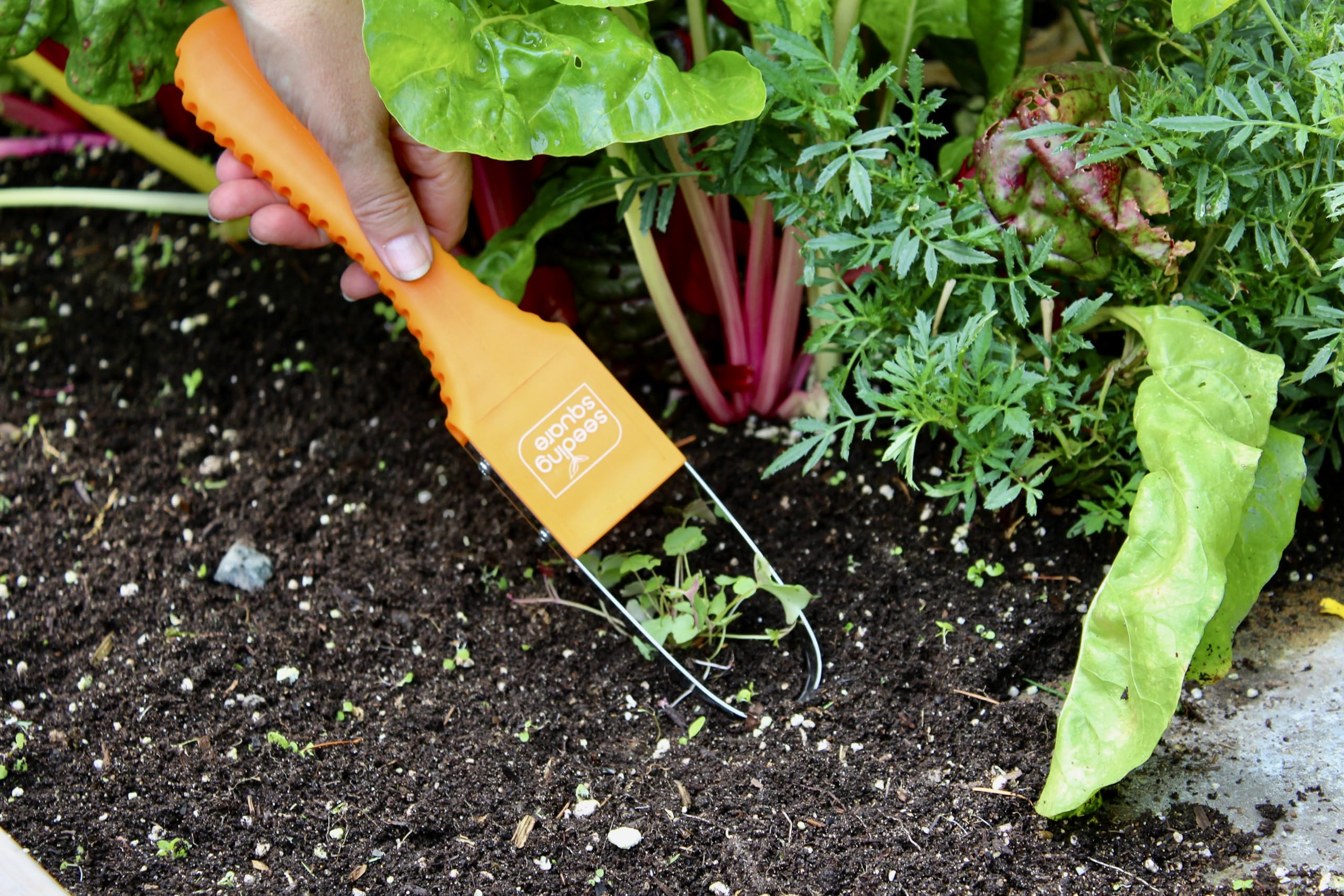 Seeding Square Sneaky Weeder clears tight spaces between plants for easier care.