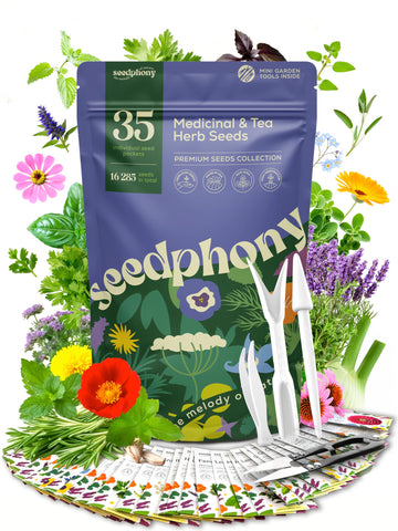 Seedphony 35 medicinal herb seeds pack ready for indoor or outdoor planting.