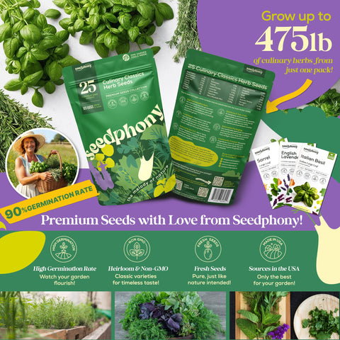 Seedphony basil italian seeds packet: aromatic basil for delicious home recipes and easy indoor gardening.