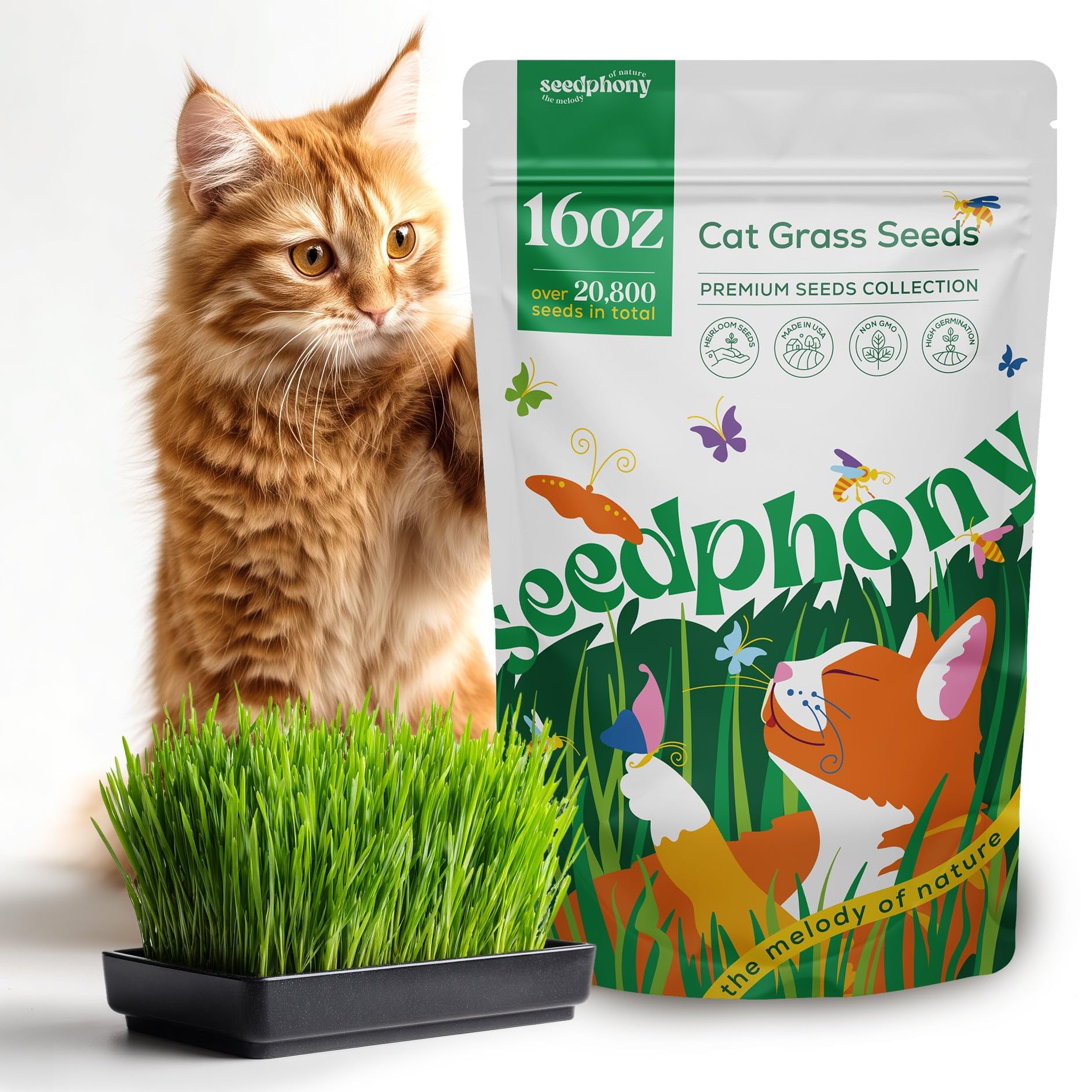 Seedphony Cat Grass Seed Mix 16oz pack in resealable pouch for indoor growing