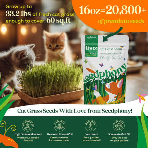 Seedphony cat grass seeds in a waterproof pouch ready to germinate