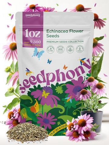 Seedphony Echinacea seed pack 1oz with approx 9,300 seeds for vibrant pollinator gardens.