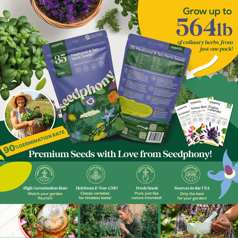 Seedphony heirloom seeds closeup shows viable non-GMO varieties for reliable growth.