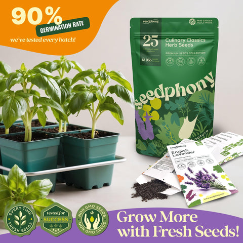 Seedphony lavender seeds packet: fragrant lavender for sachets and calming culinary infusions.