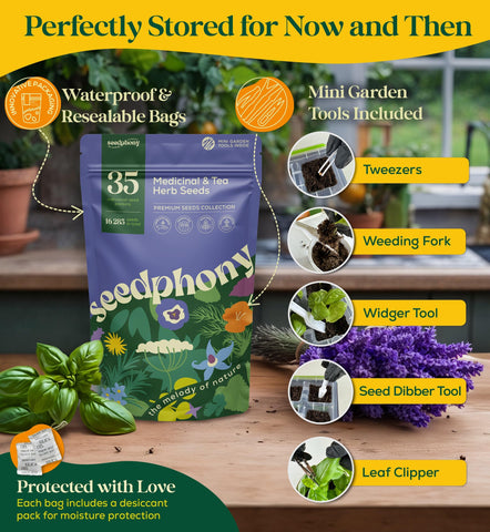 Seedphony seed dibber and tools facilitate precise planting.