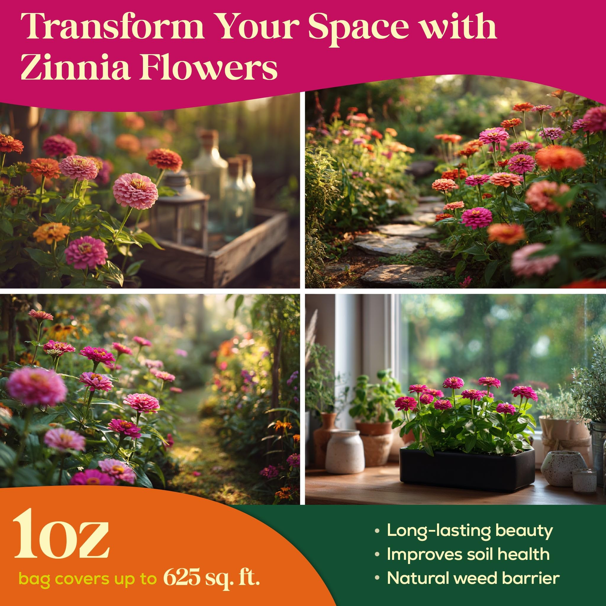 Seedphony Zinnia seeds flourishing in a backyard garden bed