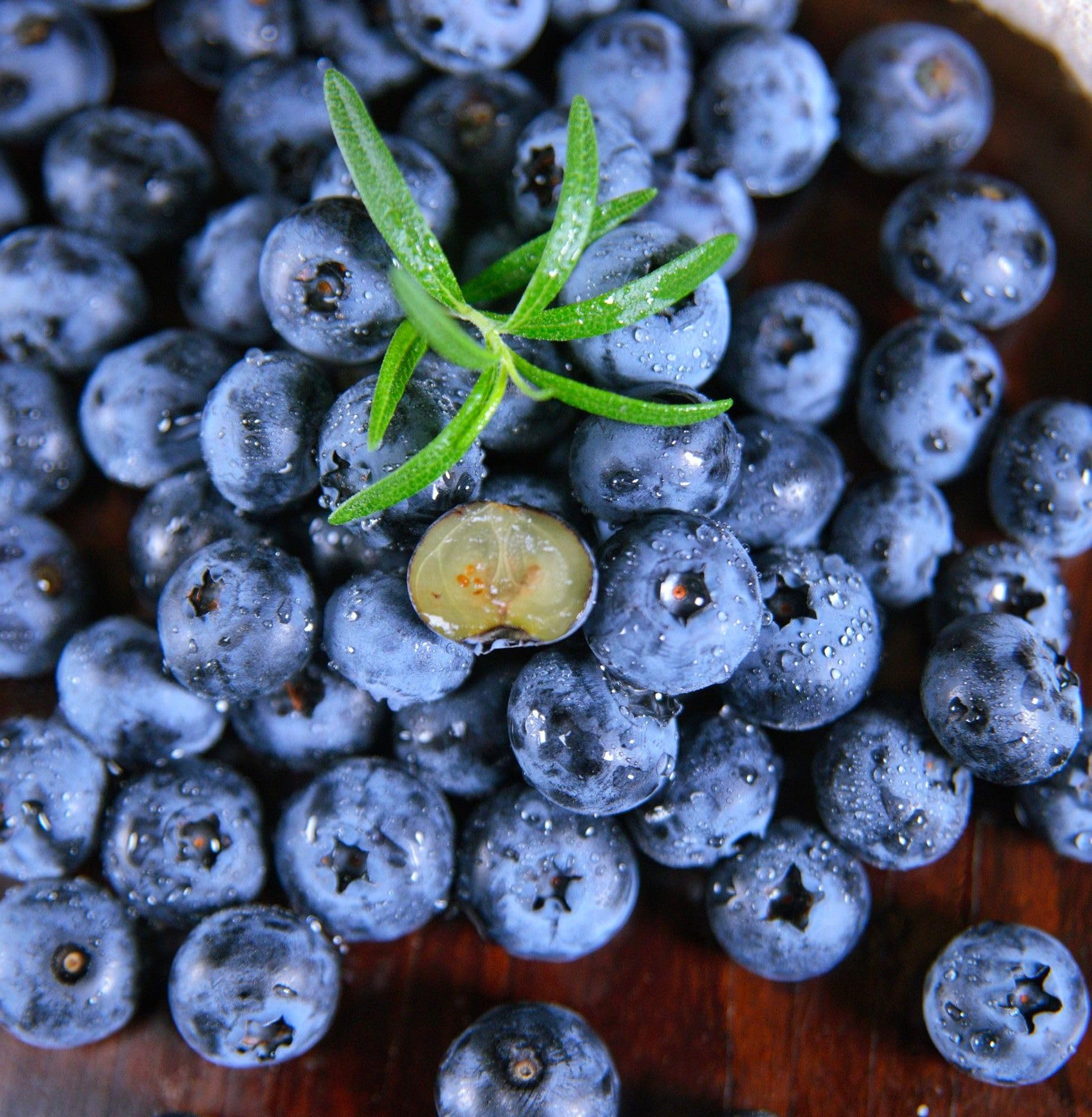 Inside view shows blueberry seeds with growing instructions.