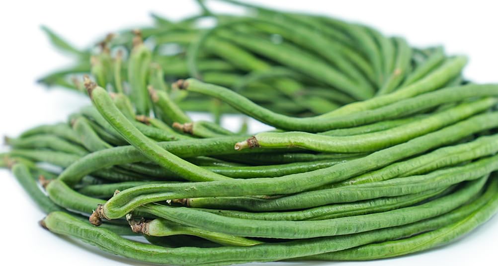 Seeds Of Strength garden trellis supporting vigorous pole beans