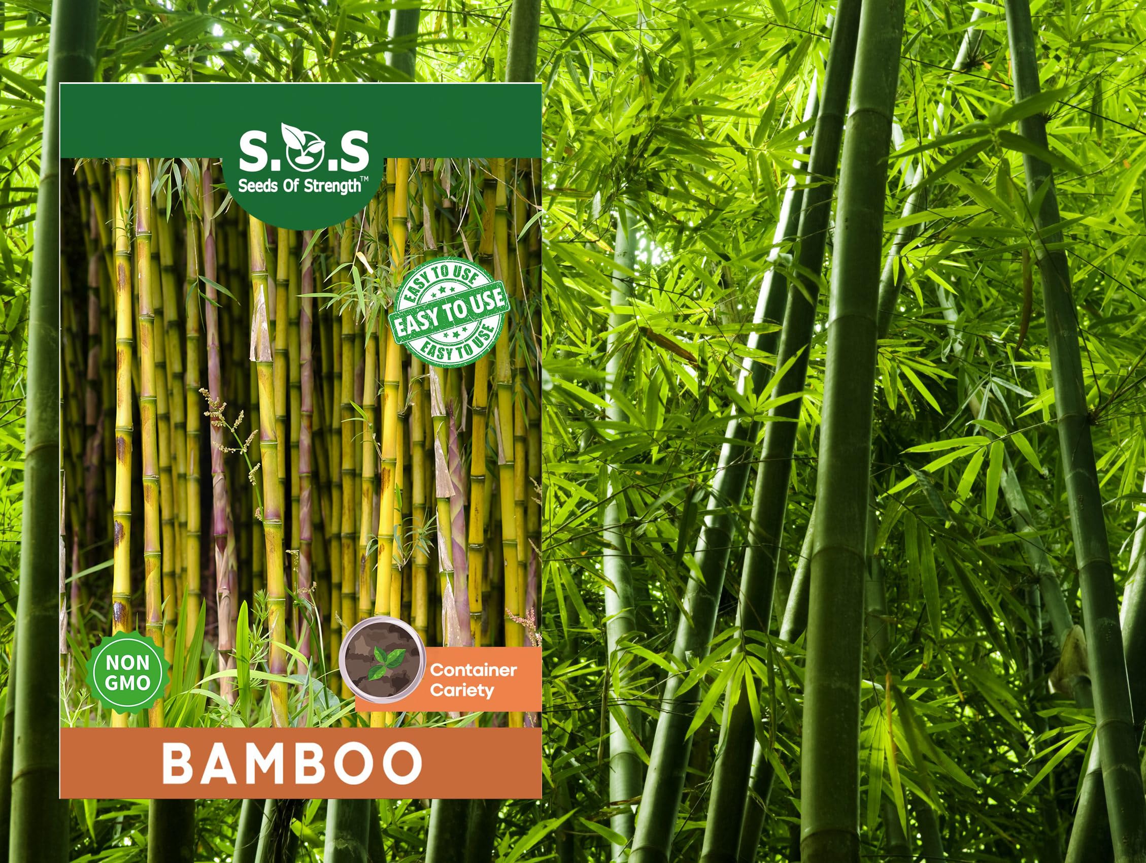 Seeds Of Strength green bamboo seeds pack ideal for fast privacy screening.