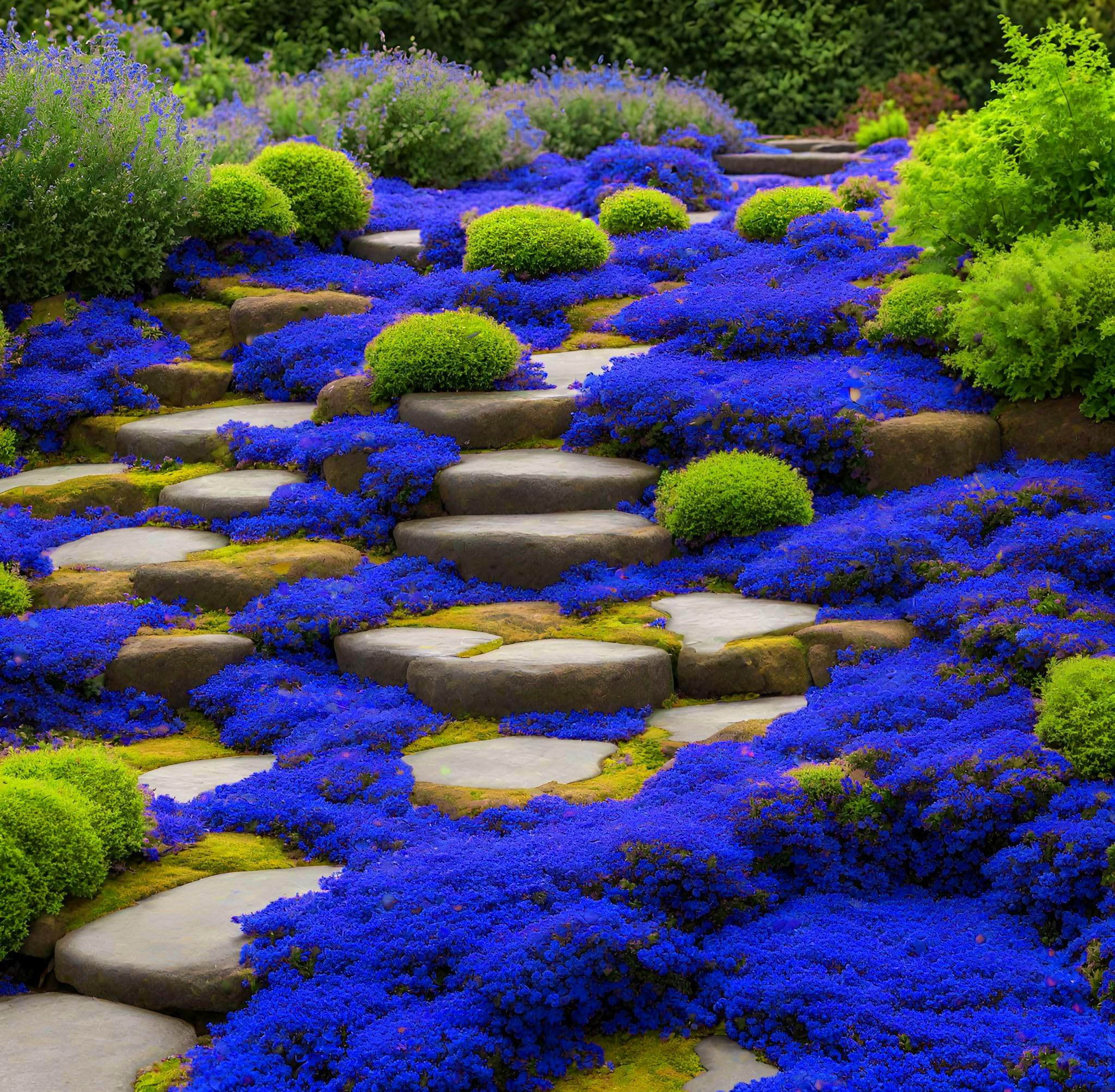 Seeds Of Strength Ground cover planting thyme image demonstrates durable, low-maintenance landscaping.