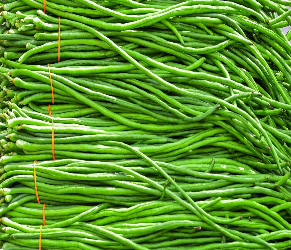 Harvest-ready pods in 60-80 days offer fresh meals sooner.
