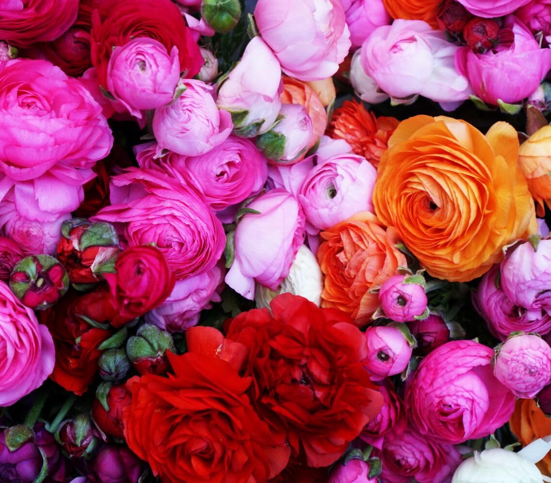 Seeds Of Strength indoor flower display idea using blooming ranunculus.