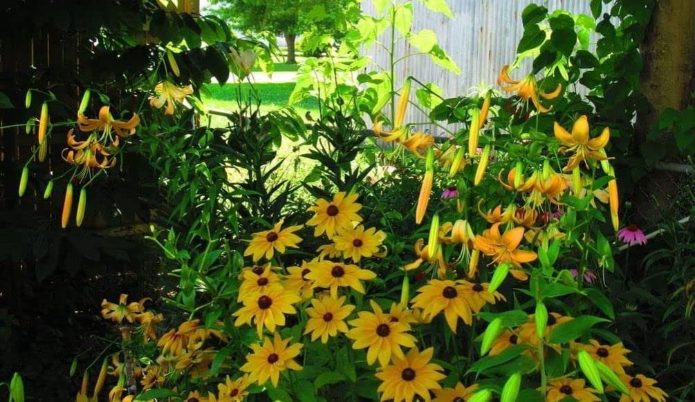 Seeds Of Strength indoor seed-start prep promotes sturdy seedlings for earlier blooms.