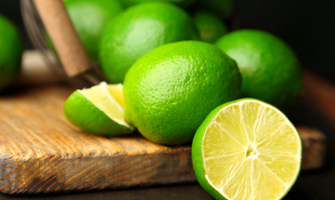 Seeds Of Strength lime seedling care for healthy citrus sprouts