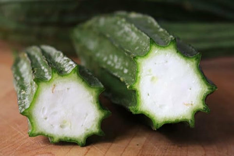 Seeds Of Strength luffa gourds thrive in hot humid climates with disease resistance.