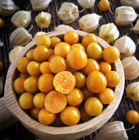 Seeds Of Strength cape gooseberry seeds in seed trays ready for transplant outdoors