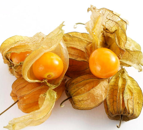 Seeds Of Strength cape gooseberry seeds in packaging for easy home planting