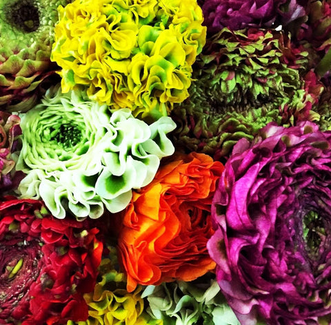 Seeds Of Strength rainbow bloom container display for patio cheer.
