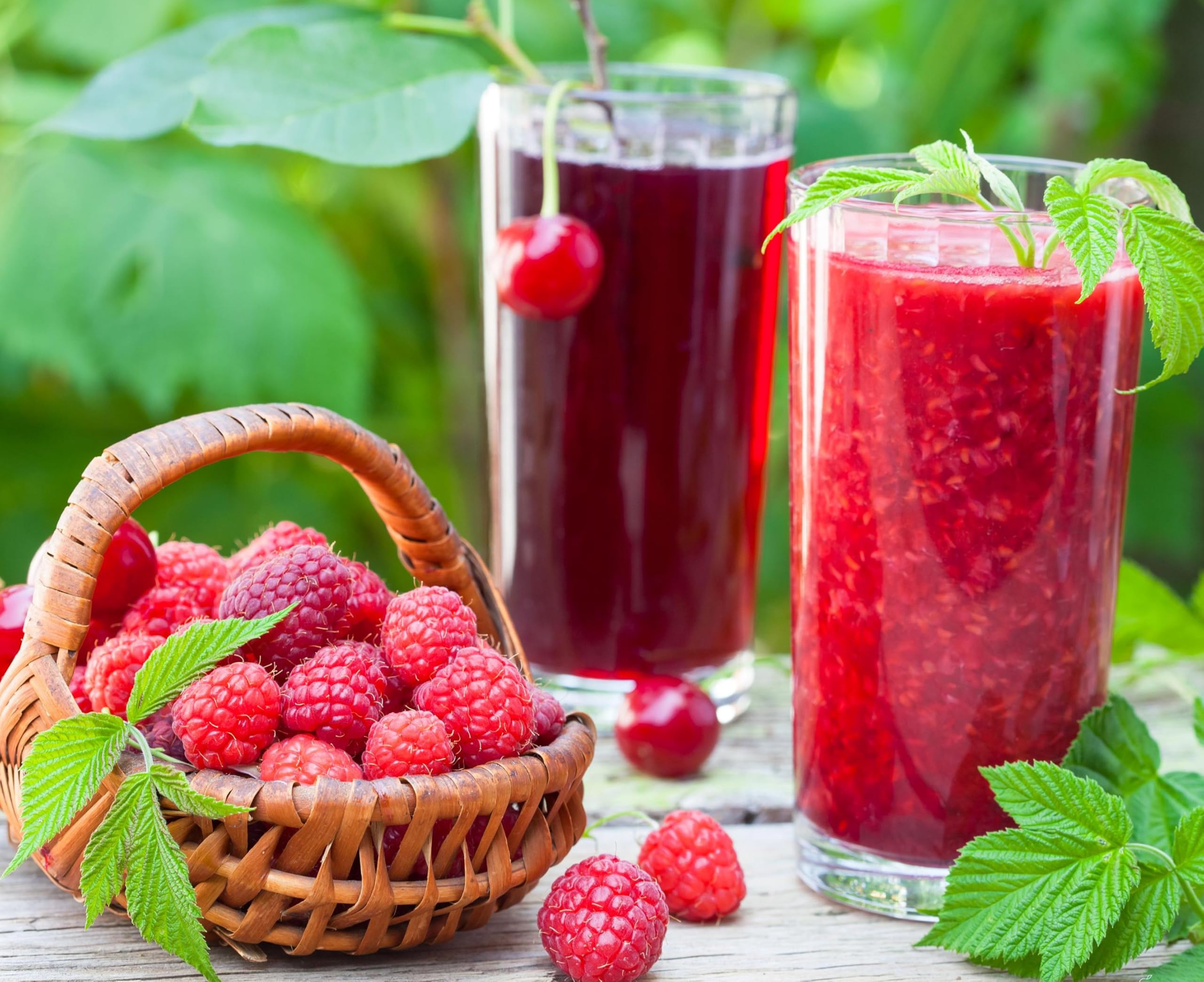 Seeds Of Strength raspberry fruit-ready plants for seasonal harvests