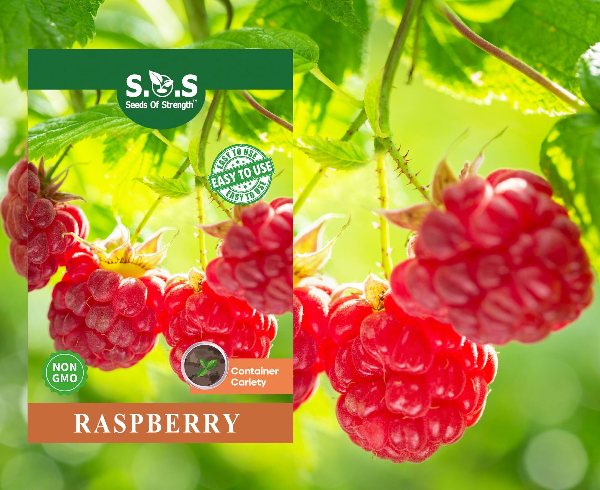 Seeds Of Strength raspberry seeds pack ready for home planting
