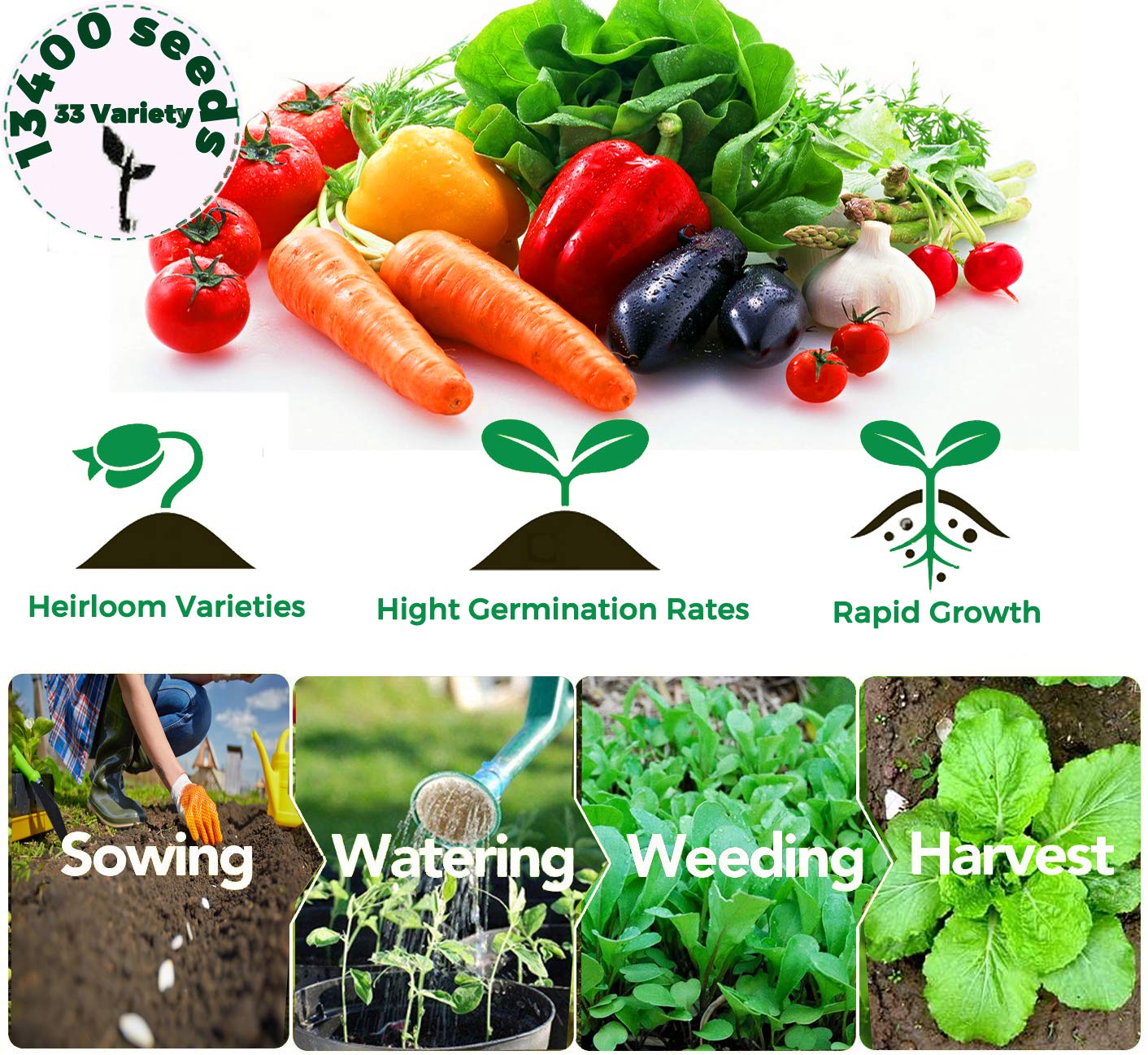Seeds Of Strength starter seed kit germination tray with clear planting guidance for beginners