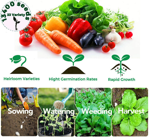 Seeds Of Strength starter seed kit germination tray with clear planting guidance for beginners