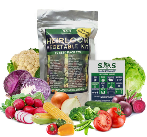 Seeds Of Strength starter seed kit harvest ready fruits and vegetables on a sunny patio