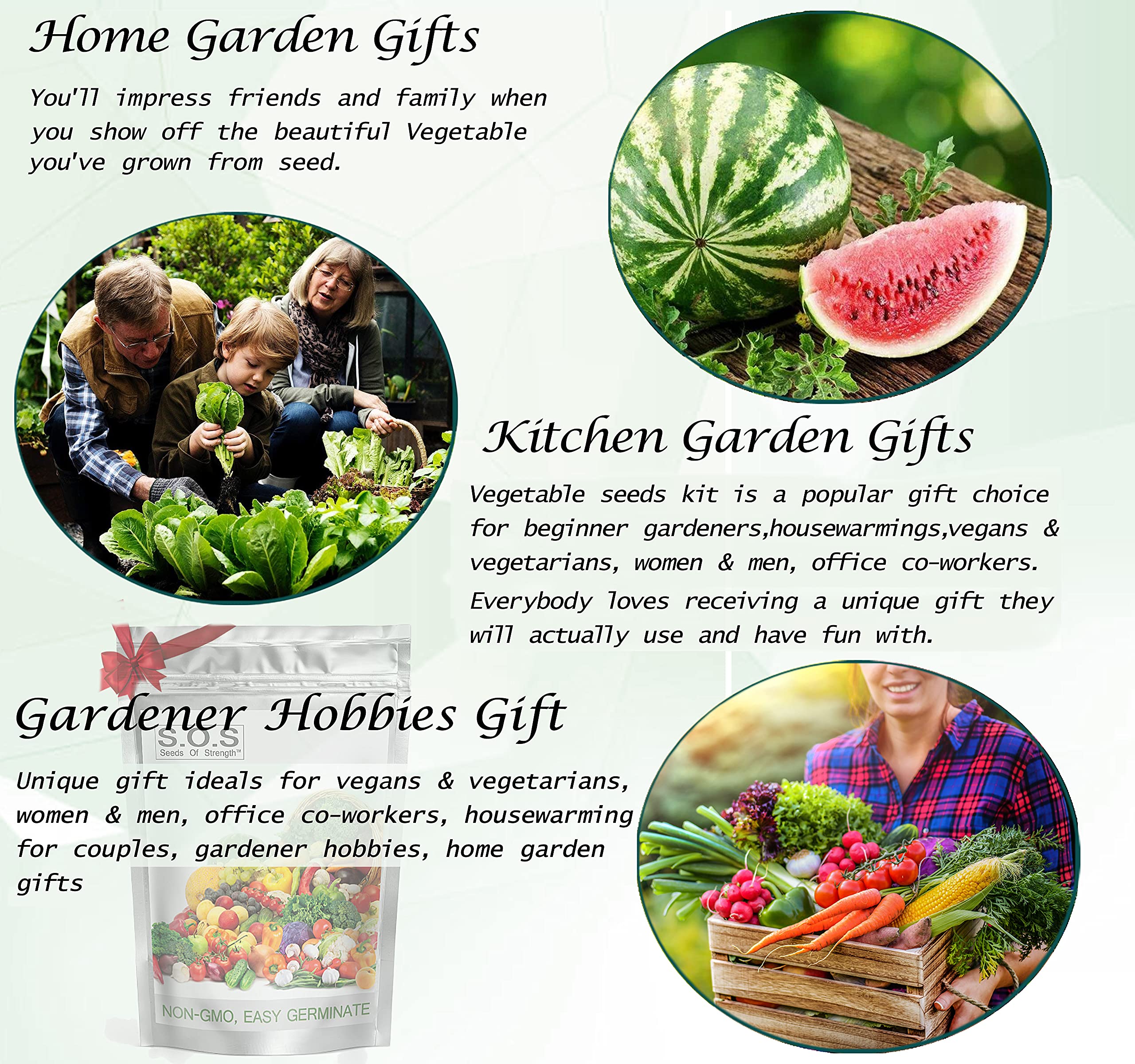Seeds Of Strength starter seed kit outdoor garden scene with raised beds and seedlings