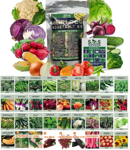 Seeds Of Strength starter seed kit packaging showing premium seeds for reliable germination
