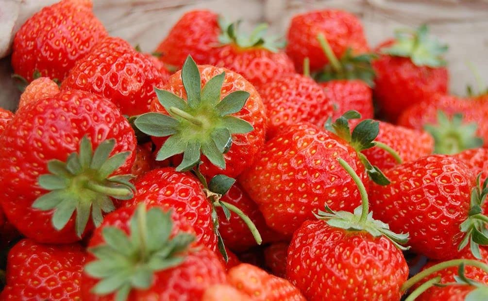 Seeds Of Strength strawberry flower clusters signal upcoming fruit production.