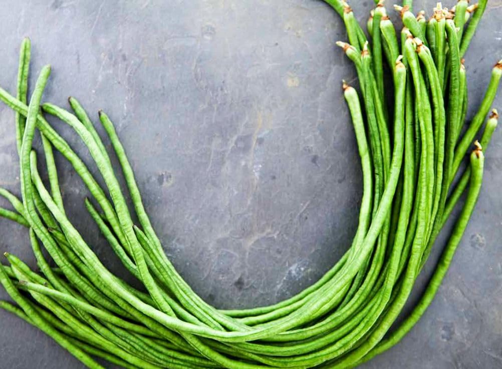 Trellis-ready beans climb with sturdy supports for space-saving gardens.