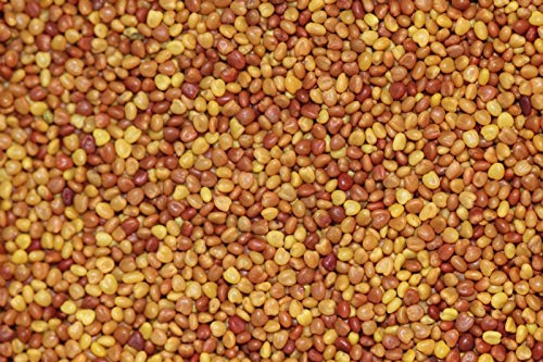  Seeds2Go drought-tolerant white clover thrives with steady moisture in lawns.