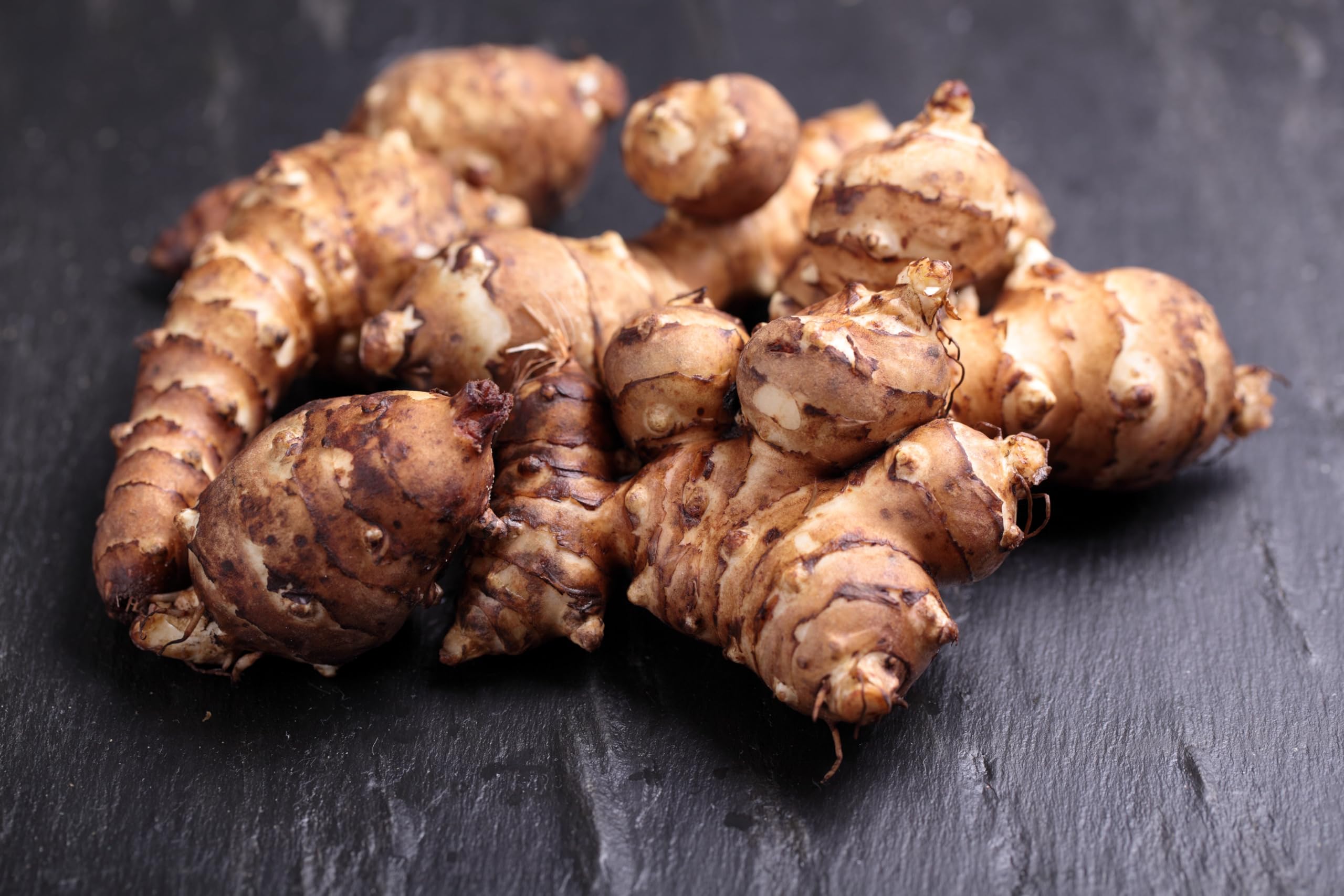 Harvest scene with dug Jerusalem Artichoke tubers