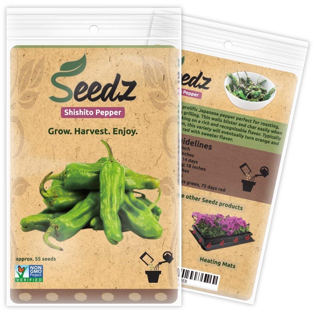 Seedz Organic Shishito Seeds pack for home gardening and fresh harvests.