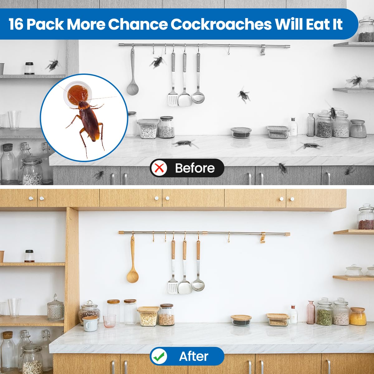 SEEKDIT advanced formulation targets multiple cockroach species