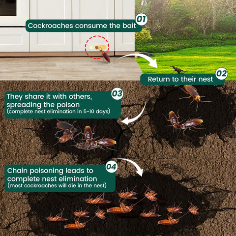 SEEKDIT large roach gel bait behind appliances reduces roaming roaches with minimal mess
