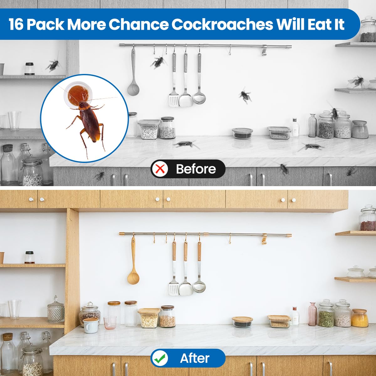 SEEKDIT bait targets the nest for long-term control in homes.