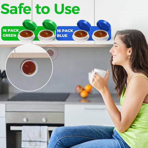 SEEKDIT nest elimination bait positioned to chase roaches from concealed areas.