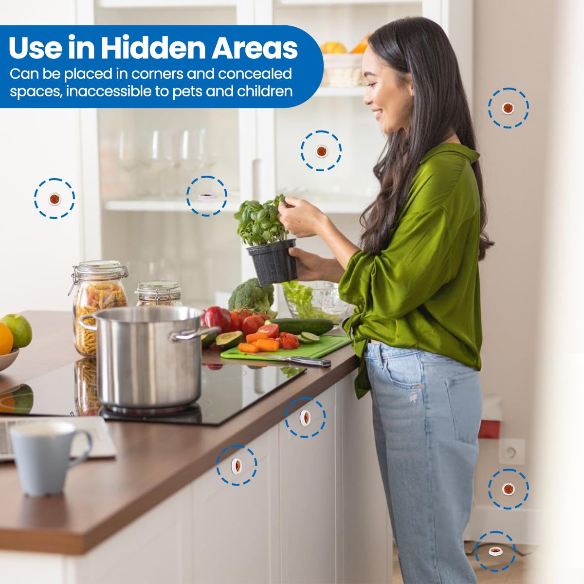 SEEKDIT nest-targeted bait aims for nest impact within 5-10 days