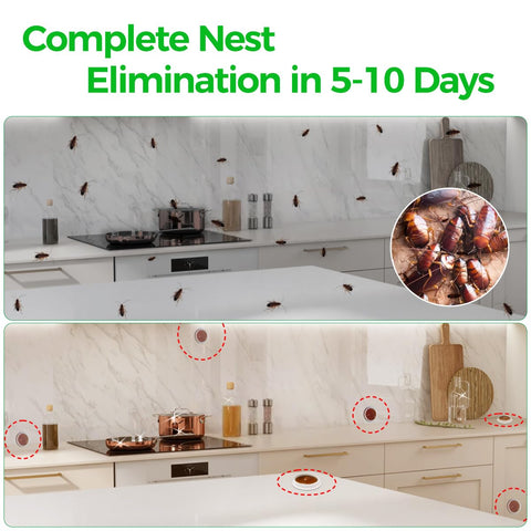 SEEKDIT roach bait station placement behind appliance to reach hidden nests.