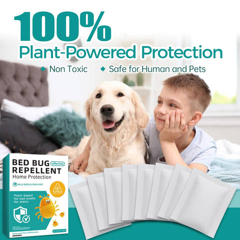 SEEKDIT 2-month protection without sprays is easy to replace.
