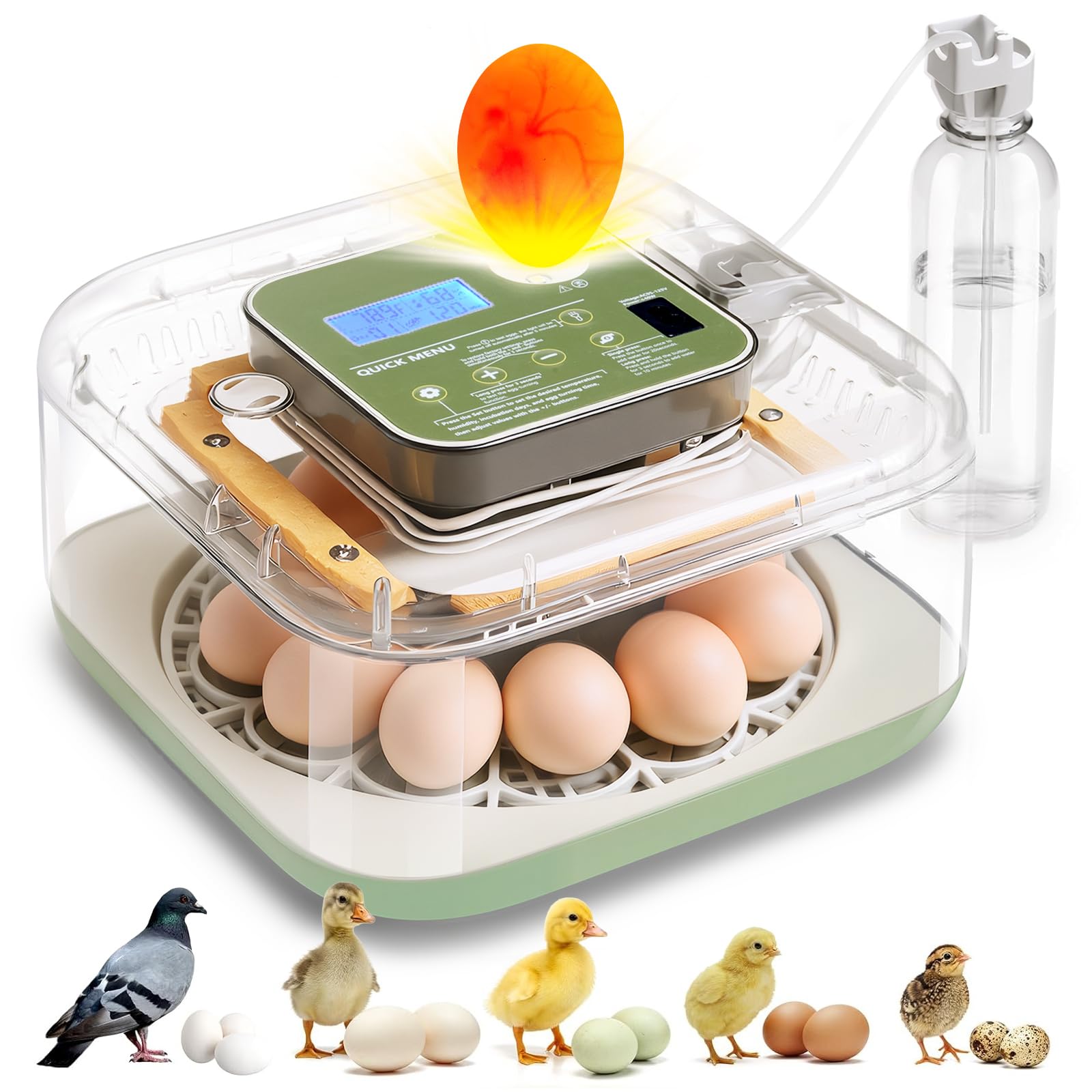 Seektain incubator with digital display showing 12 egg capacity and settings