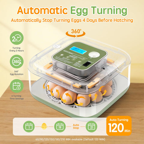 Seektain dual trays support chicken and duck eggs for flexible use