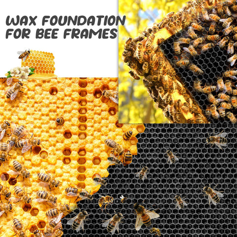 Seeloowy compact deep-frame sheet maximizes space without crowding the hive.