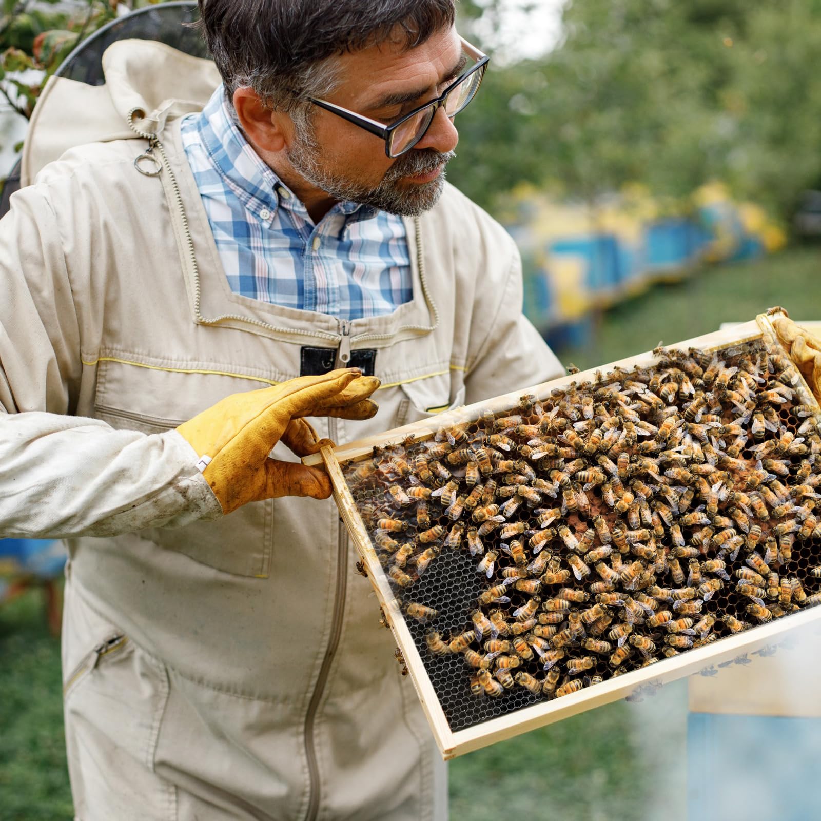 Seeloowy independent nest-base sheets prevent cross-frame interaction in the hive.