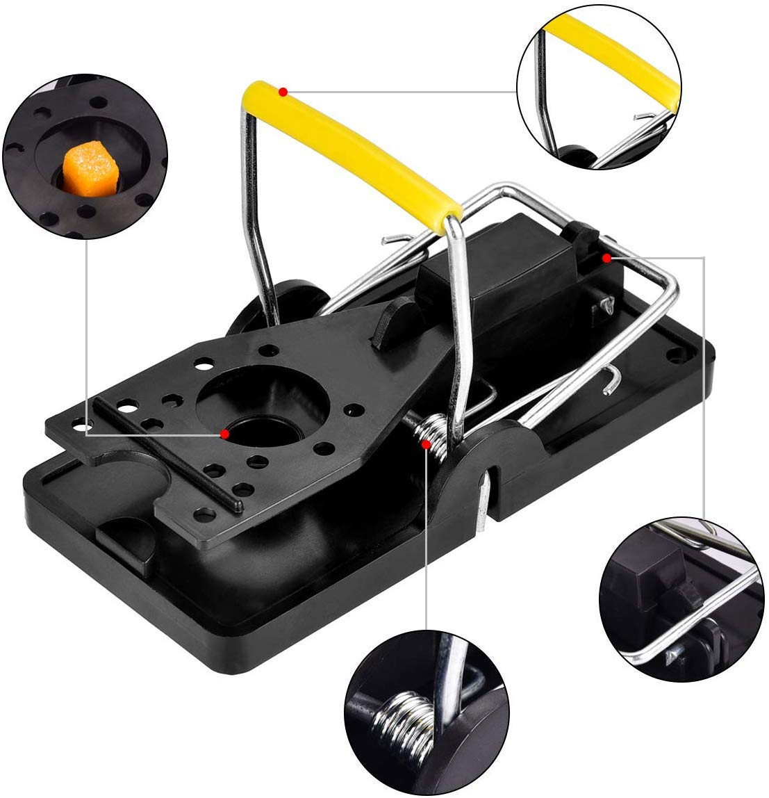 SEEPIS trap placed in kitchen, warehouse, or garden for versatile pest control.