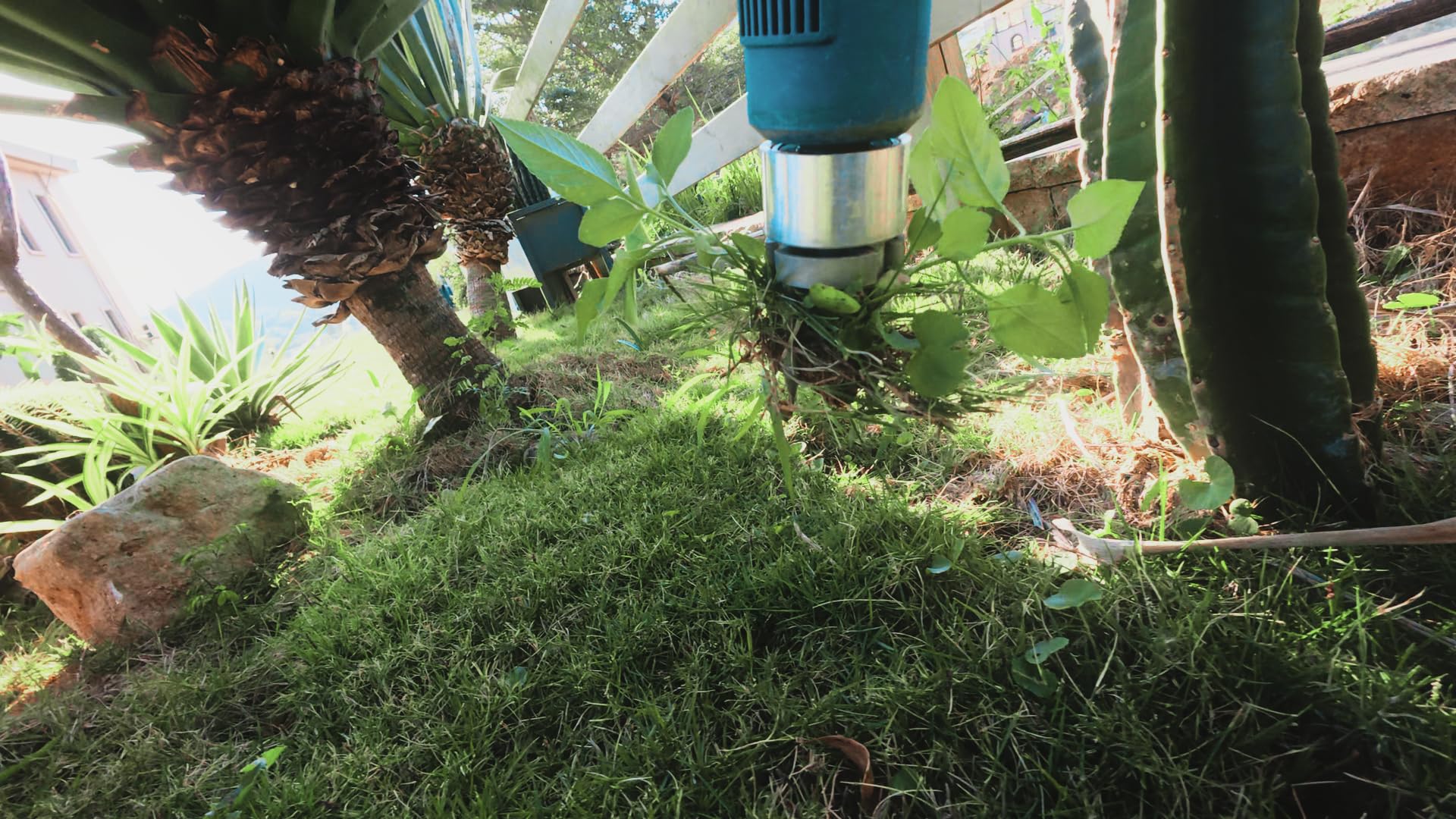 Seesii compact design easy to maneuver in tight garden beds.