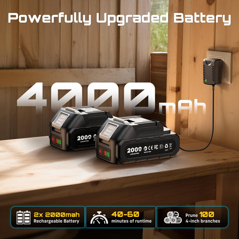 Seesii dual 2000mAh batteries for uninterrupted sessions