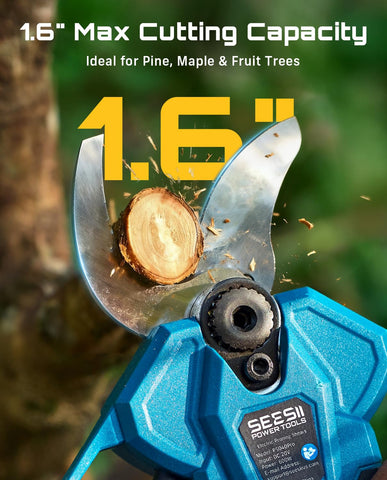SEESII pole pruner extended to 9 ft reach for high branches