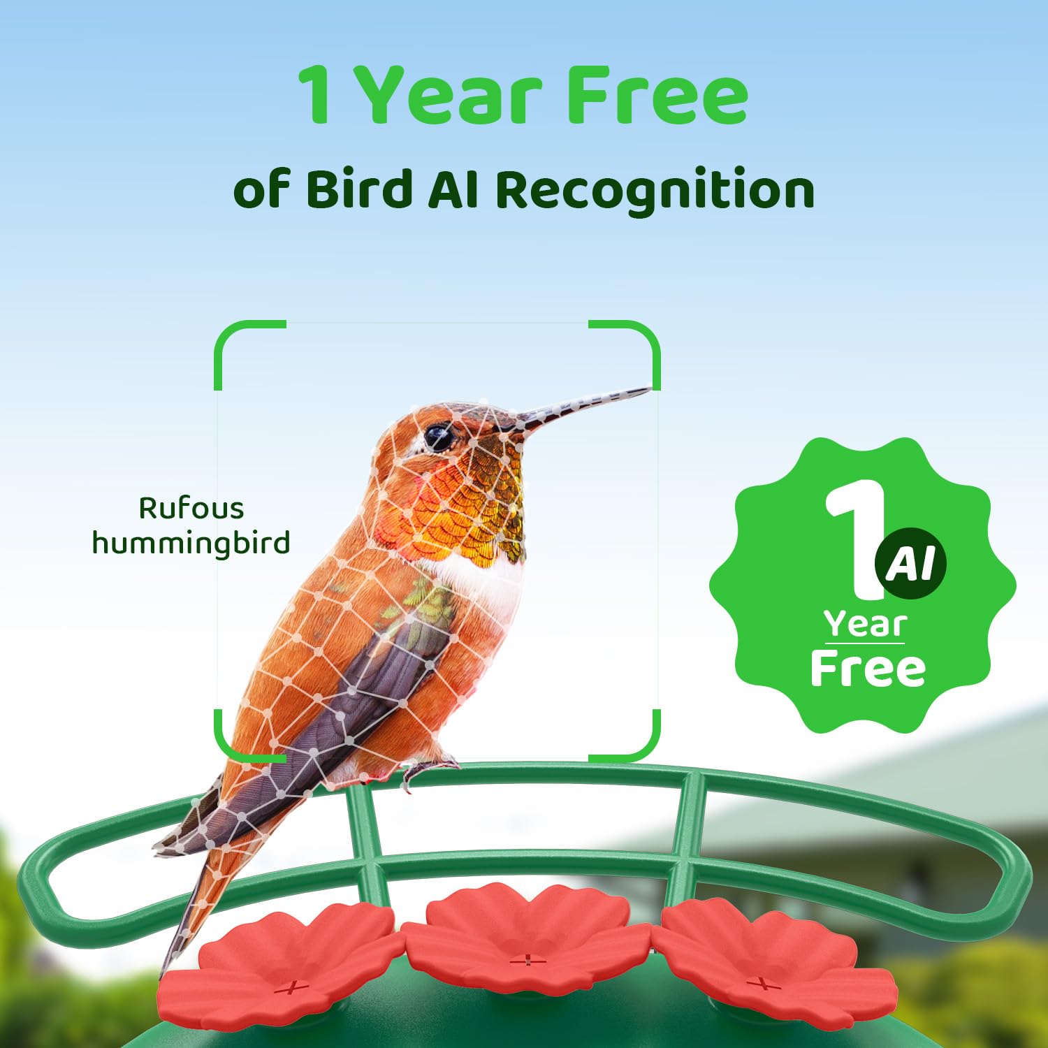 SEHMUA ant moat keeps nectar clean and deters pests